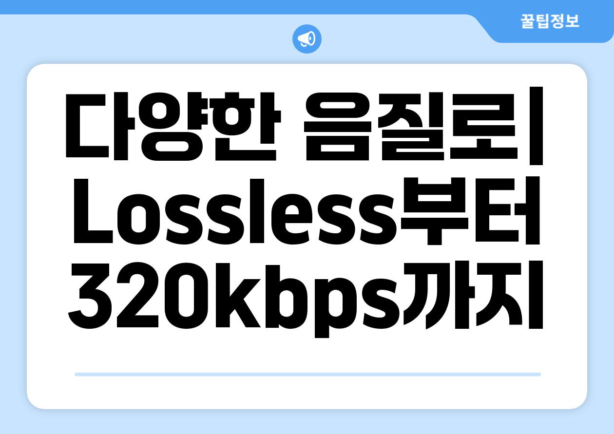 다양한 음질로| Lossless부터 320kbps까지