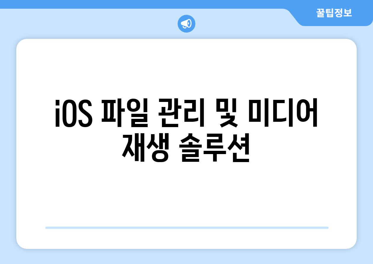 iOS 파일 관리 및 미디어 재생 솔루션