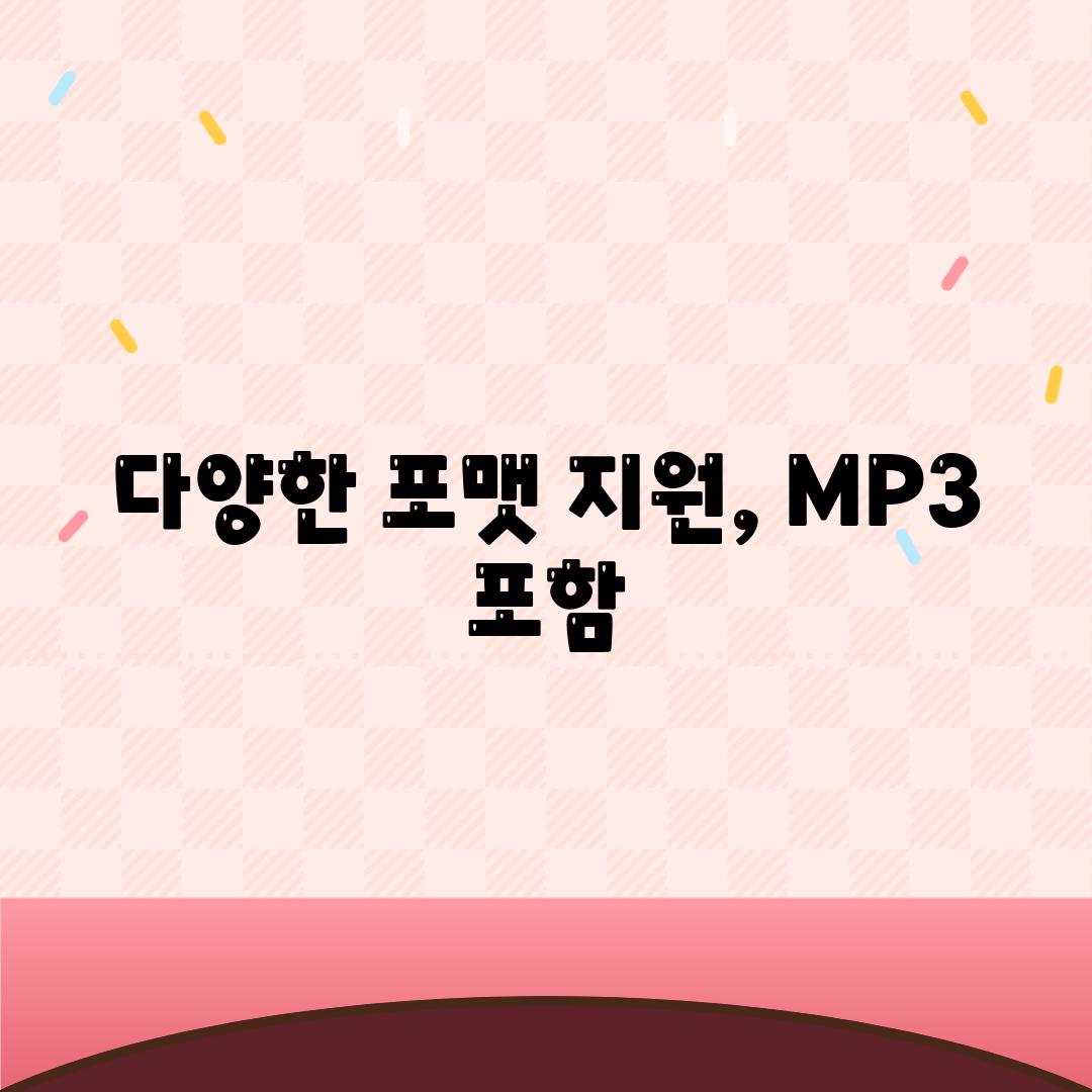 다양한 포맷 지원, MP3 포함