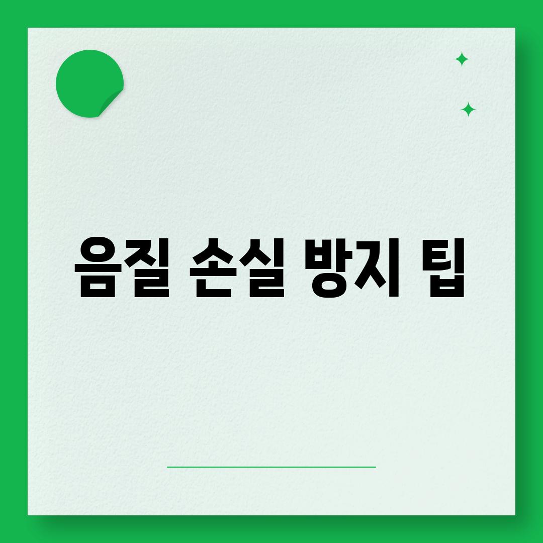 음질 손실 방지 팁