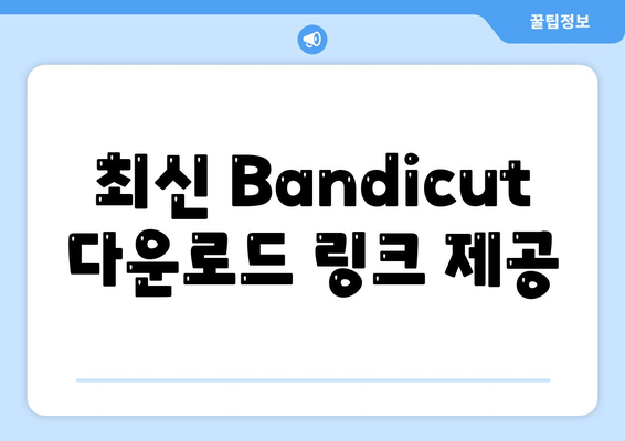 최신 Bandicut 다운로드 링크 제공