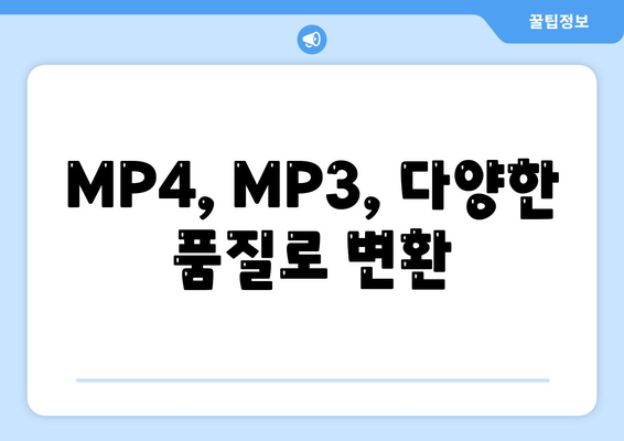 MP4, MP3, 다양한 품질로 변환