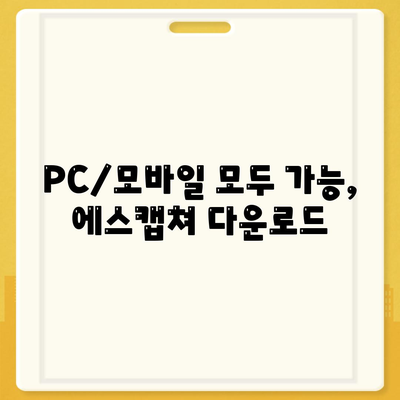 PC/모바일 모두 가능, 에스캡쳐 다운로드