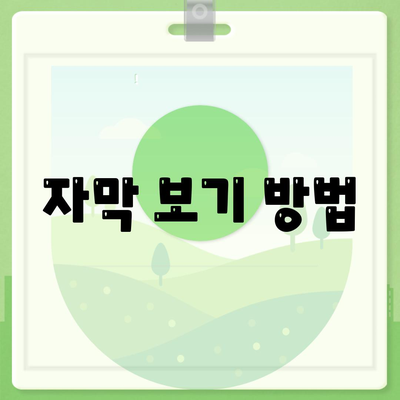 자막 보기 방법