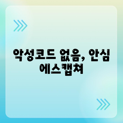 악성코드 없음, 안심 에스캡쳐