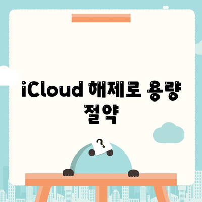 iCloud 해제로 용량 절약