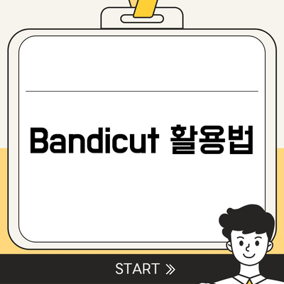 Bandicut 활용법