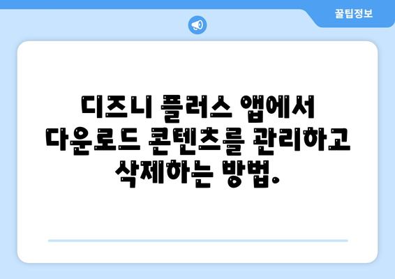 디즈니 플러스 앱 스토리지 기능 사용법 및 다운로드 화질 설정