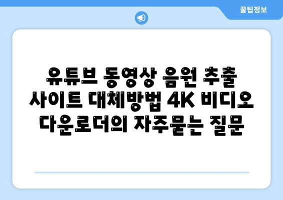 유튜브 동영상 음원 추출 사이트 대체방법 4K 비디오 다운로더