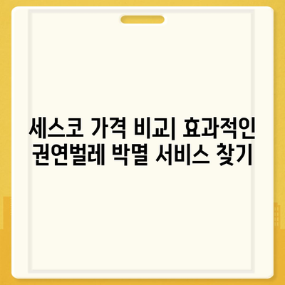 권연벌레 박멸, 세스코 가격 비교 & 전문 서비스 알아보기 | 권연벌레, 세스코, 가격, 방역, 해충