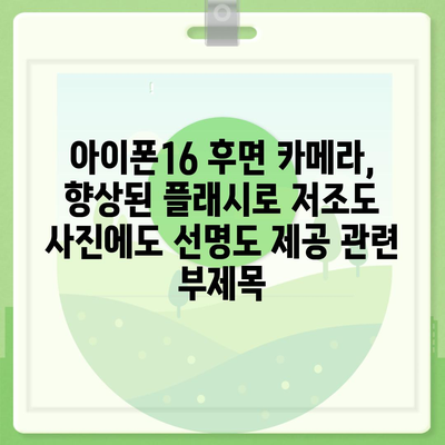 아이폰16 후면 카메라, 향상된 플래시로 저조도 사진에도 선명도 제공