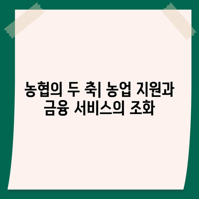 NH농협중앙회 vs 농협은행| 차이점 비교분석 | 농협, 금융, 협동조합, 차이점, 비교