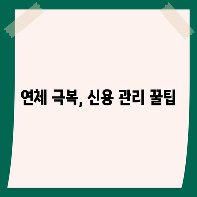 대출 연체 완납, 이제 걱정하지 마세요! | 연체 해결, 완납 방법, 신용 관리 팁