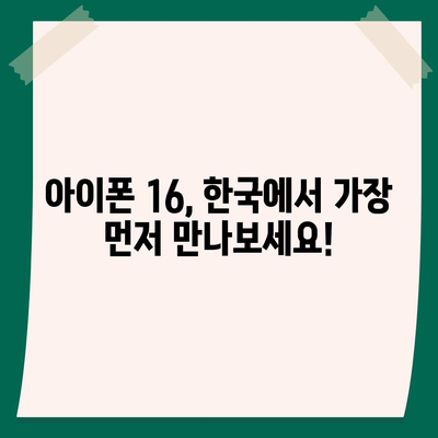 아이폰 16 한국 1차 출시국 확정, 프로 모델 디스플레이 확장