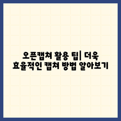 오픈캡쳐 다운로드, 설치 및 사용법 가이드