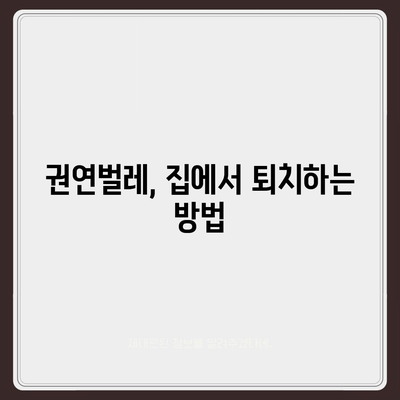 세스코 권연벌레 박멸 가이드| 효과적인 방제 방법과 예방 팁 | 권연벌레, 해충 방제, 세스코