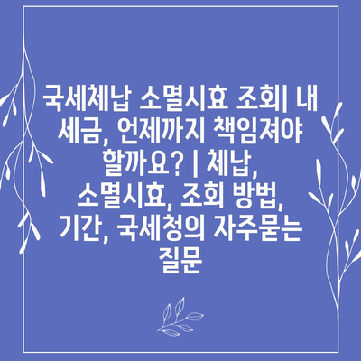 국세체납 소멸시효 조회| 내 세금, 언제까지 책임져야 할까요? | 체납, 소멸시효, 조회 방법, 기간, 국세청