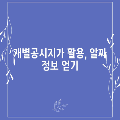 2021년 개별공시지가 조회| 지역별 확인 및 활용 가이드 | 부동산, 토지, 공시지가, 조회 방법