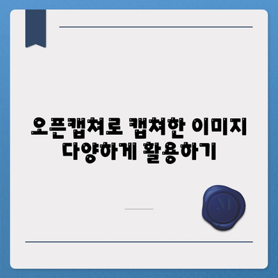 오픈캡쳐 다운로드, 설치 및 사용법 가이드