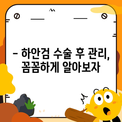 하안검 수술 비용, 궁금한 모든 것을 알려드립니다! | 하안검 수술 가격, 병원별 비용, 수술 후 관리, 주의사항