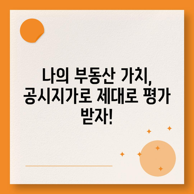 내 집의 가치는 얼마?  2023년  공시지가 조회 및 확인 방법 | 부동산, 토지, 주택, 가격, 확인