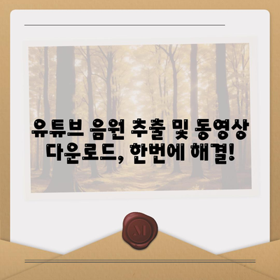 유튜브 음원 추출 및 동영상 다운로드 일석이조 사이트