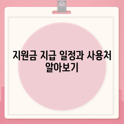 충청남도 계룡시 신도안면 민생회복지원금 | 신청 | 신청방법 | 대상 | 지급일 | 사용처 | 전국민 | 이재명 | 2024