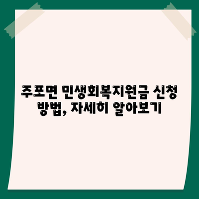 충청남도 보령시 주포면 민생회복지원금 | 신청 | 신청방법 | 대상 | 지급일 | 사용처 | 전국민 | 이재명 | 2024