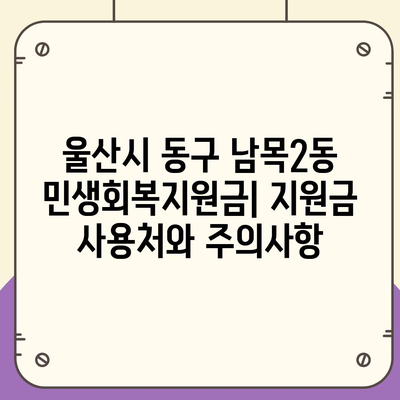 울산시 동구 남목2동 민생회복지원금 | 신청 | 신청방법 | 대상 | 지급일 | 사용처 | 전국민 | 이재명 | 2024