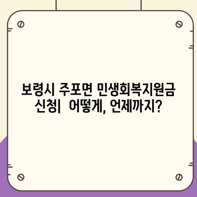 충청남도 보령시 주포면 민생회복지원금 | 신청 | 신청방법 | 대상 | 지급일 | 사용처 | 전국민 | 이재명 | 2024