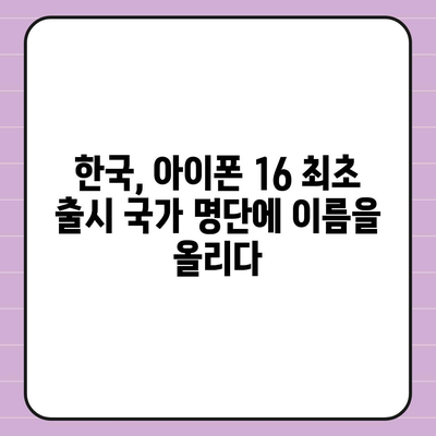 아이폰 16 한국 1차 출시국 확정! 프로 모델의 가격과 크기 확대