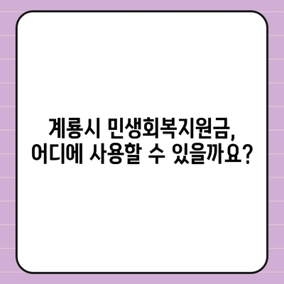 충청남도 계룡시 신도안면 민생회복지원금 | 신청 | 신청방법 | 대상 | 지급일 | 사용처 | 전국민 | 이재명 | 2024