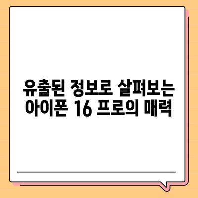 아이폰 16 프로 디자인 및 스펙 | 공식 발표 전 유출된 세부 정보