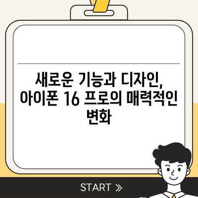 아이폰 16 한국 1차 출시국 확정! 프로 모델의 가격과 크기 확대