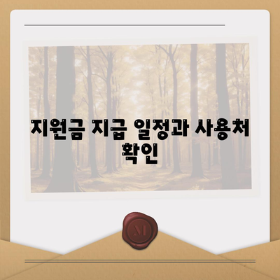 대전시 동구 대동 민생회복지원금 | 신청 | 신청방법 | 대상 | 지급일 | 사용처 | 전국민 | 이재명 | 2024