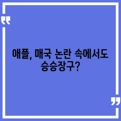 아이폰 매국 논란에 아이폰16 우려