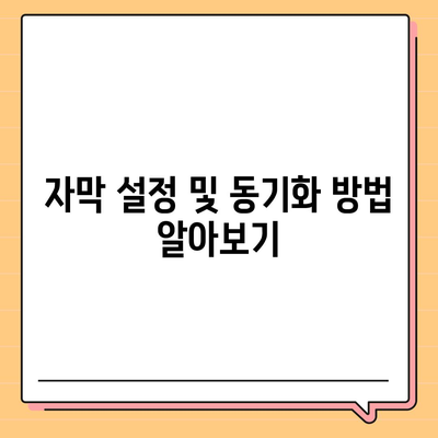 다음 팟플레이어를 올바르게 사용하는 방법