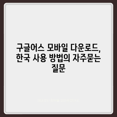 구글어스 모바일 다운로드, 한국 사용 방법