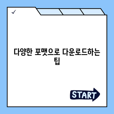 유튜브 동영상 다운로드방법 EaseUS Video Downloader 사용법 가이드