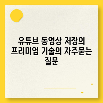 유튜브 동영상 저장의 프리미엄 기술