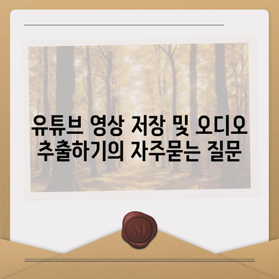 유튜브 영상 저장 및 오디오 추출하기