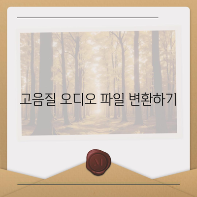 프리미엄 방식으로 유튜브 동영상, 음원, 오디오 추출