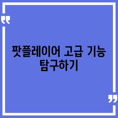 다음 팟플레이어 사용법방법 다운로드 및 팁