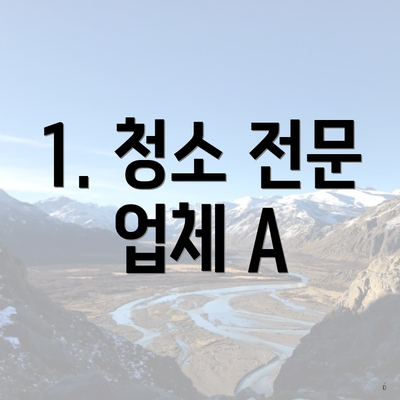 1. 청소 전문 업체 A