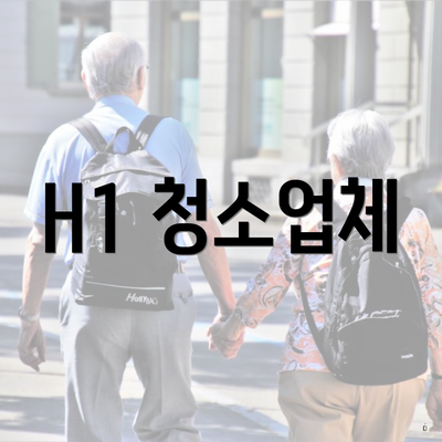 H1 청소업체