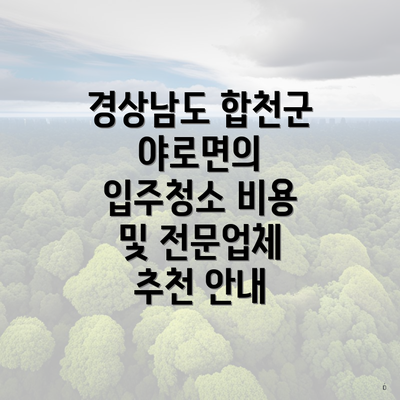 경상남도 합천군 야로면의 입주청소 비용 및 전문업체 추천 안내