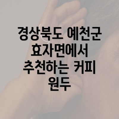 경상북도 예천군 효자면에서 추천하는 커피 원두