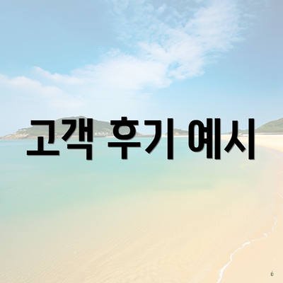 고객 후기 예시