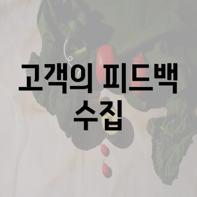 고객의 피드백 수집