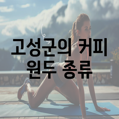 고성군의 커피 원두 종류